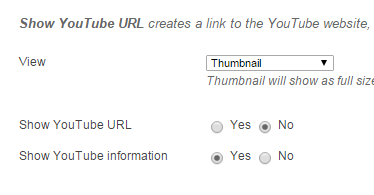 YouTube Mash-up Options