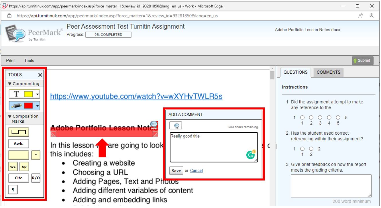 Image showing Turnitin PeerMark from the student point of view (Opening a PeerMark assignment to peer assess)